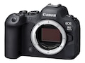 Canon EOS R6 Mark II Mirrorless Camera (Body Only), 5666C002, 41557121, Cameras - Digital