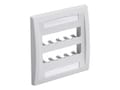 Panduit EXEC DOUBLE FACEPLATE TEN MINI, CFPE10WH-2GY, 41897871, Cables Panduit EXEC DOUBLE FACEPLATE TEN MINI, CFPE10WH-2GY, 41897871, Cables