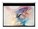 Elite Screens M100NWV1 Image 1 from Front