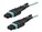 StarTech.com MPO12PL10M Image 1 from Right-angle