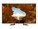 Sharp Imaging and Information Company of America V484 Image 3 from Front