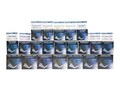 Seiko 2.125 x 4 Shipping Label Roll - Bulk (900 Labels), SLP-SRLB, 7951511, Paper, Labels & Other Print Media
