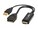 Tripp Lite P130-06N-DP-4K6                Image 2 from Right-angle