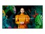 Samsung 74.5" QMC 4K Ultra HD LED-LCD Display Samsung 74.5" QMC 4K Ultra HD LED-LCD Display