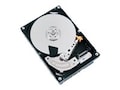 Toshiba 1TB MG03ACA100 SATA 6Gb s 3.5 Nearline Hard Drive, HDEPQ03GEA51, 15109447, Hard Drives - Internal Toshiba 1TB MG03ACA100 SATA 6Gb s 3.5 Nearline Hard Drive, HDEPQ03GEA51, 15109447, Hard Drives - Internal
