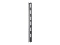 APC Vertical Cable Manager for NetShelter SX 750mm Wide 45U (2-pack), AR7585, 33112771, Rack Cable Management