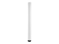 Bosch Security Systems 20 Pendant Pipe Extension, NDA-U-PMTE, 34569334, Mounting Hardware - Miscellaneous