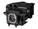 BTI NP17LP-BTI Image 1 from Right-angle