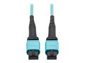 Tripp Lite 12-Fiber MPO F F 100G Multimode 50 125 OM4 Fiber Type-B Polarity Optic Cable, Aqua, 1m, TAA, N845B-01M-12TAA               , 41859009, Cables