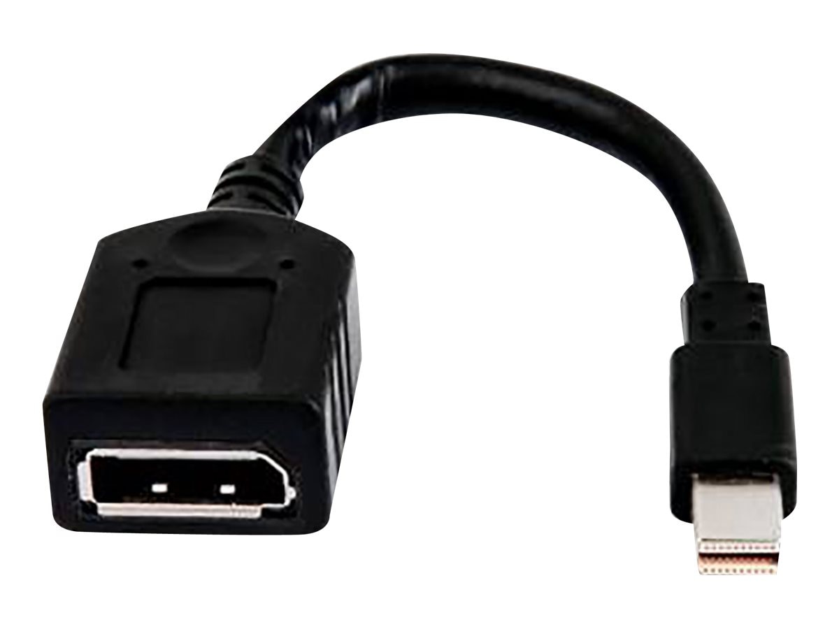 contact School education Normalization HP Mini-DisplayPort to DisplayPort Adapter Cable (2MY05AA)