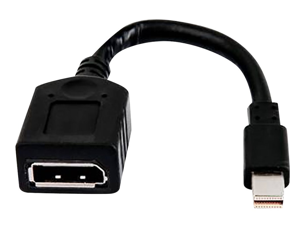functie uitdrukken dichtbij HP Mini-DisplayPort to DisplayPort Adapter Cable (2MY05AA)