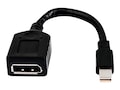 HP Mini-DisplayPort to DisplayPort Adapter Cable, 2MY05AA, 34390078, Cables