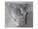 BTI 16R-C-330W-BTI                 Image 1 from Front