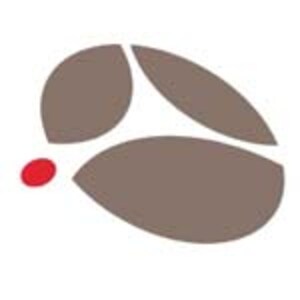 Vertiv Dual-Head DisplayPort In Out Cable With DPP , CBL0109, 36603727, Cables