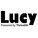 Lucy Security DSB20 Image 1 from 